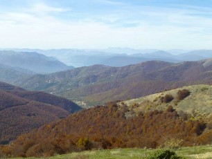 Forest landscape from Varnountas