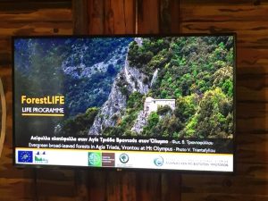 παρουσίαση στη δεθ 2018 με προβολή βίντεο για τα δάση της ελλάδας